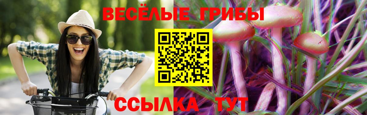 Долгопрудный  Псилоцибиновые грибы Psilocybine cubensis  купить наркотики сайты  Галлюциногенные грибы Psilocybe  Вход с VPN 